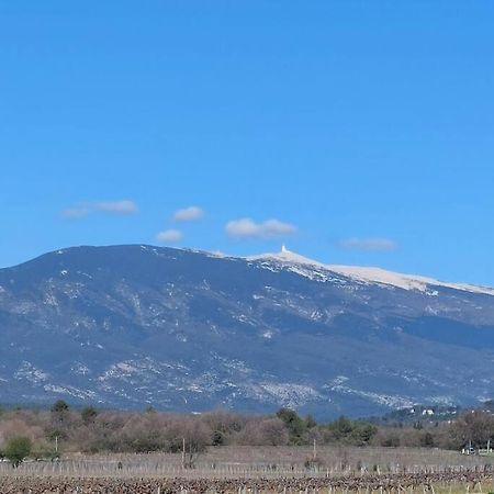Mon Ventoux Villa Modene Ngoại thất bức ảnh